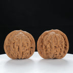 "Si Zuo Lou" Heritage entry level Wenwan Walnuts Pair | Size:41L*39W*38H | UPI:UR-00125