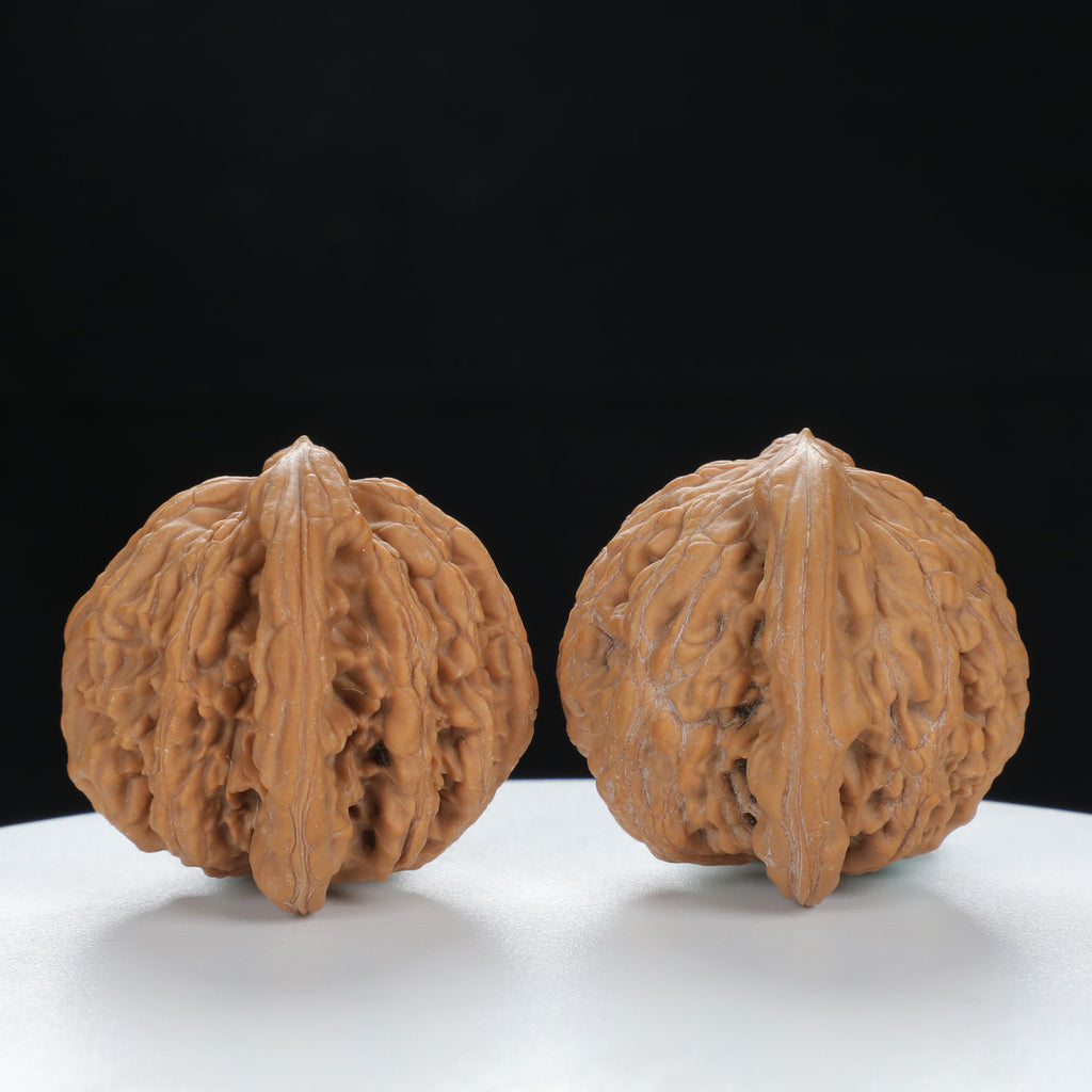 "Si Zuo Lou" Heritage entry level Wenwan Walnuts Pair | Size:41L*39W*38H | UPI:UR-00125