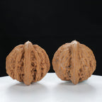 "Si Zuo Lou" Heritage entry level Wenwan Walnuts Pair | Size:41L*39W*38H | UPI:UR-00125