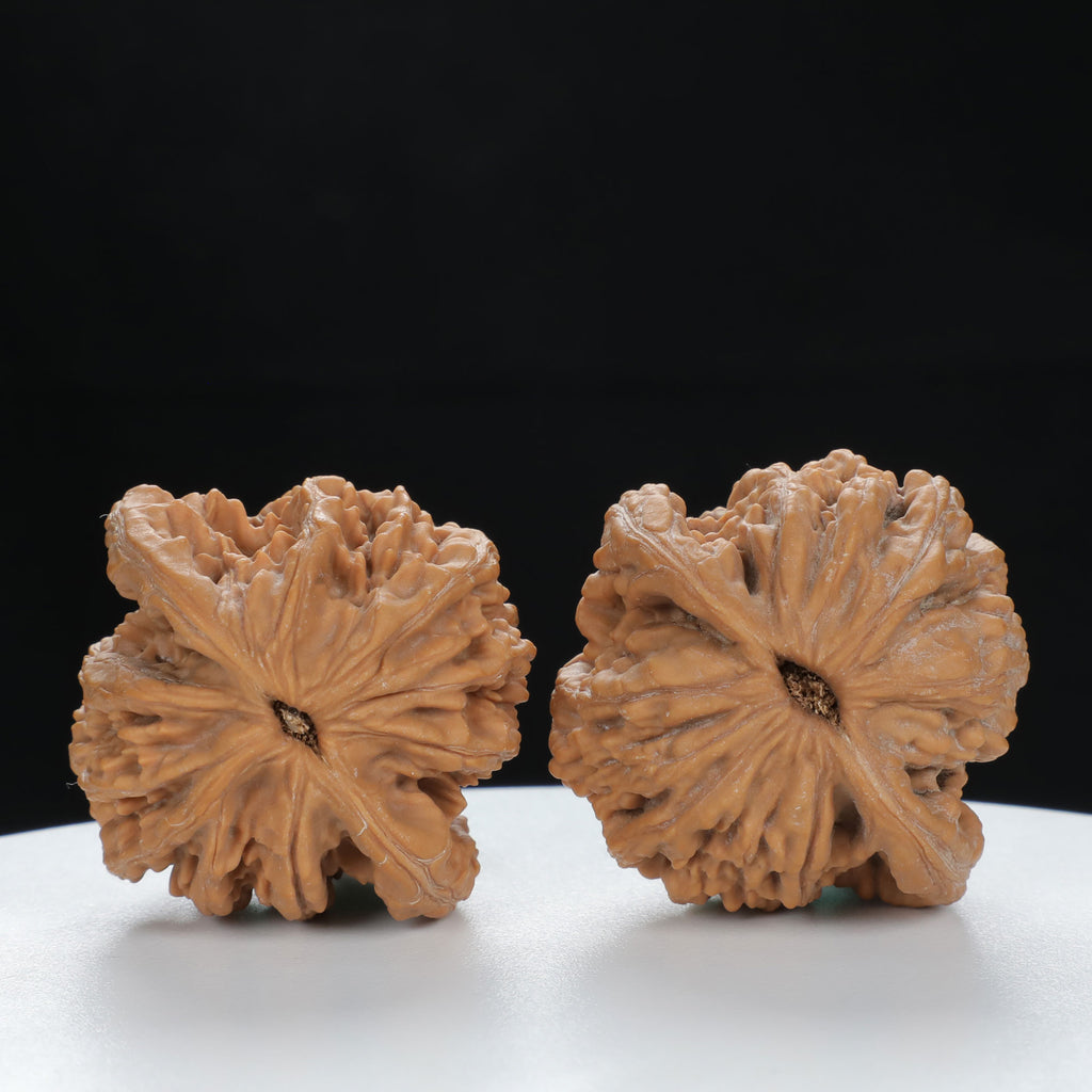 "Si Zuo Lou" Heritage entry level Wenwan Walnuts Pair | Size:41L*39W*38H | UPI:UR-00125