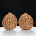 "Nanjiang Stone" Distinctive entry level Wenwan Walnuts Pair | Size:38L*37W*43H | UPI:UR-00127
