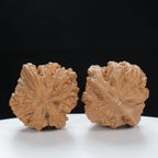 "Nanjiang Stone" Distinctive entry level Wenwan Walnuts Pair | Size:38L*37W*43H | UPI:UR-00127