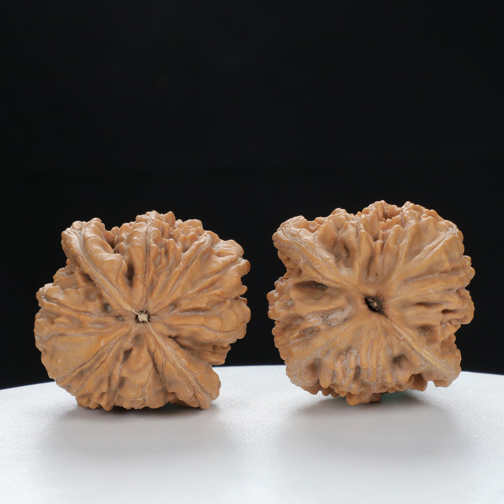 "Nanjiang Stone" Distinctive entry level Wenwan Walnuts Pair | Size:38L*37W*43H | UPI:UR-00127