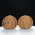 "Si Zuo Lou" Refined entry level Wenwan Walnuts Pair | Size:43L*38W*39H | UPI:UR-00128