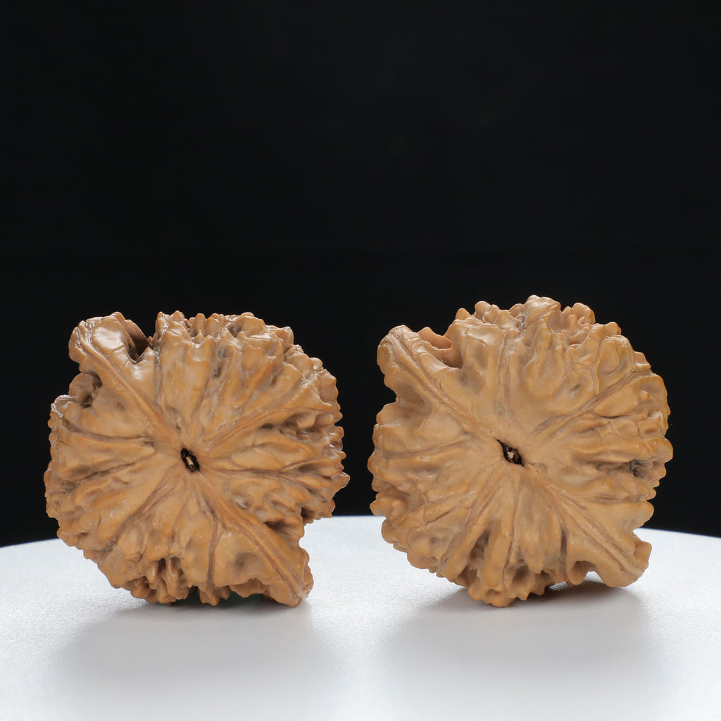 "Si Zuo Lou" Refined entry level Wenwan Walnuts Pair | Size:43L*38W*39H | UPI:UR-00128
