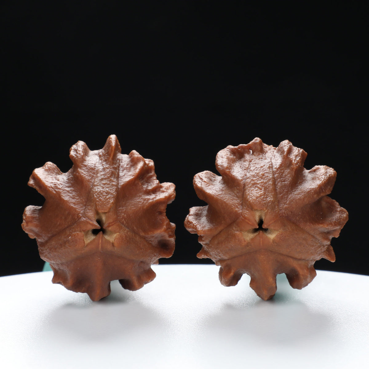 “Indonesian Vajra” Indonesian Natural Vajra Olive Pit Pair | Size:34L*34W*52H | UPI:UR-00096