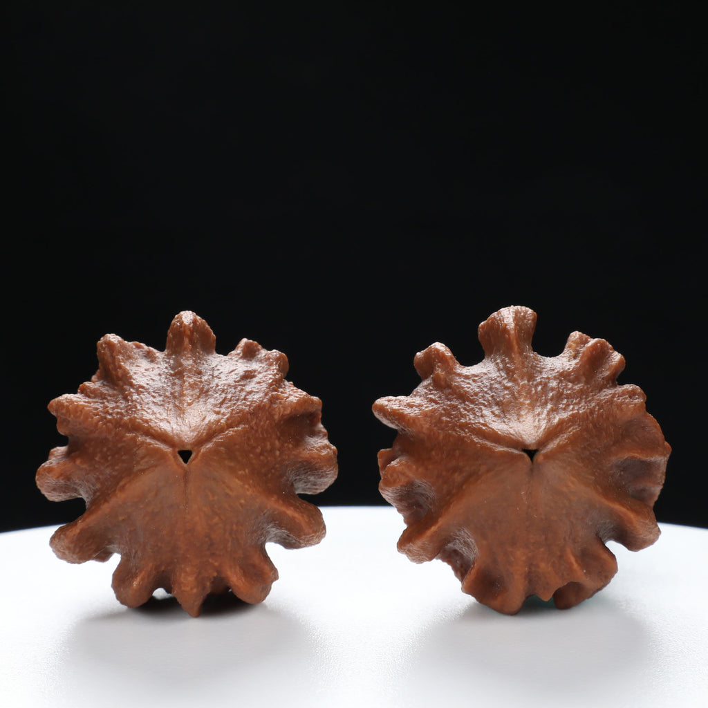 “Indonesian Vajra” Indonesian Natural Vajra Olive Pit Pair | Size:34L*34W*52H | UPI:UR-00096