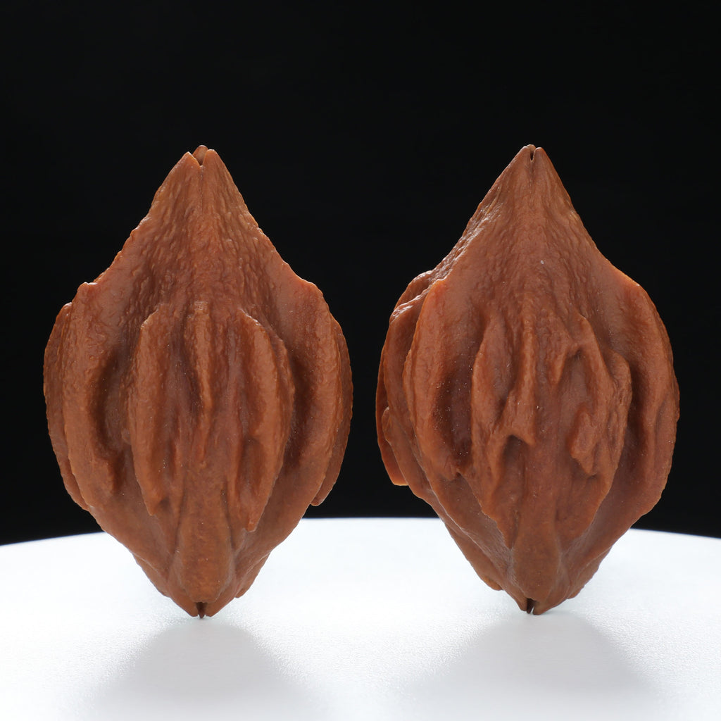 “Indonesian Vajra” Indonesian Natural Vajra Olive Pit Pair | Size:34L*34W*52H | UPI:UR-00096