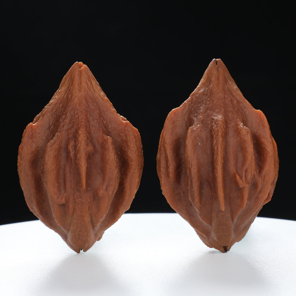 “Indonesian Vajra” Indonesian Natural Vajra Olive Pit Pair | Size:34L*34W*52H | UPI:UR-00096