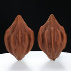 “Indonesian Vajra” Indonesian Natural Vajra Olive Pit Pair | Size:34L*34W*52H | UPI:UR-00096