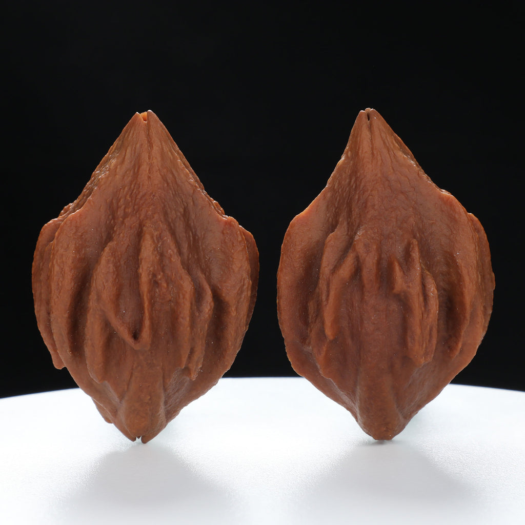 “Indonesian Vajra” Indonesian Natural Vajra Olive Pit Pair | Size:34L*34W*52H | UPI:UR-00096