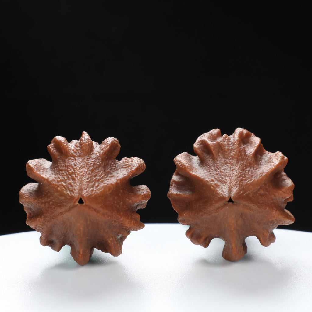 “Indonesian Vajra” Indonesian Natural Vajra Olive Pit Pair | Size:34L*34W*52H | UPI:UR-00096
