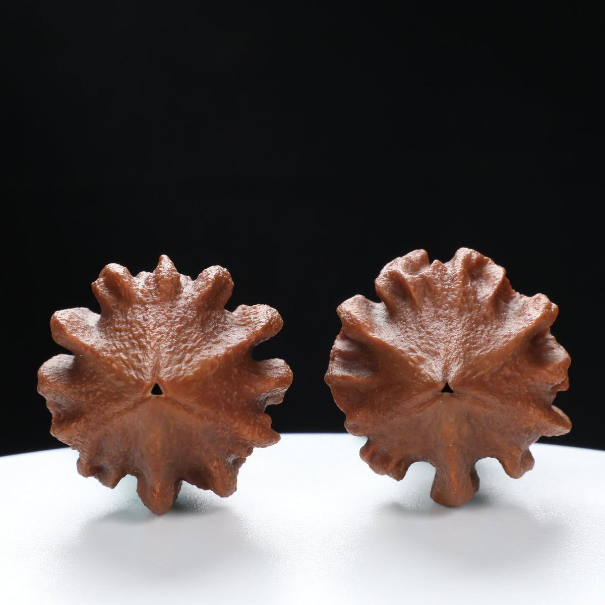 “Indonesian Vajra” Indonesian Natural Vajra Olive Pit Pair | Size:34L*34W*52H | UPI:UR-00096