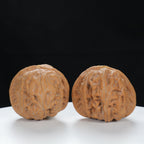 "Yuanbao" Authentic entry level Wenwan Walnuts Pair | Size:40L*44W*34H | UPI:UR-00130
