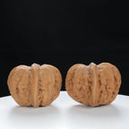 "Yuanbao" Authentic entry level Wenwan Walnuts Pair | Size:40L*44W*34H | UPI:UR-00130