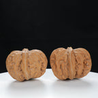 "Yuanbao" Authentic entry level Wenwan Walnuts Pair | Size:40L*44W*34H | UPI:UR-00130