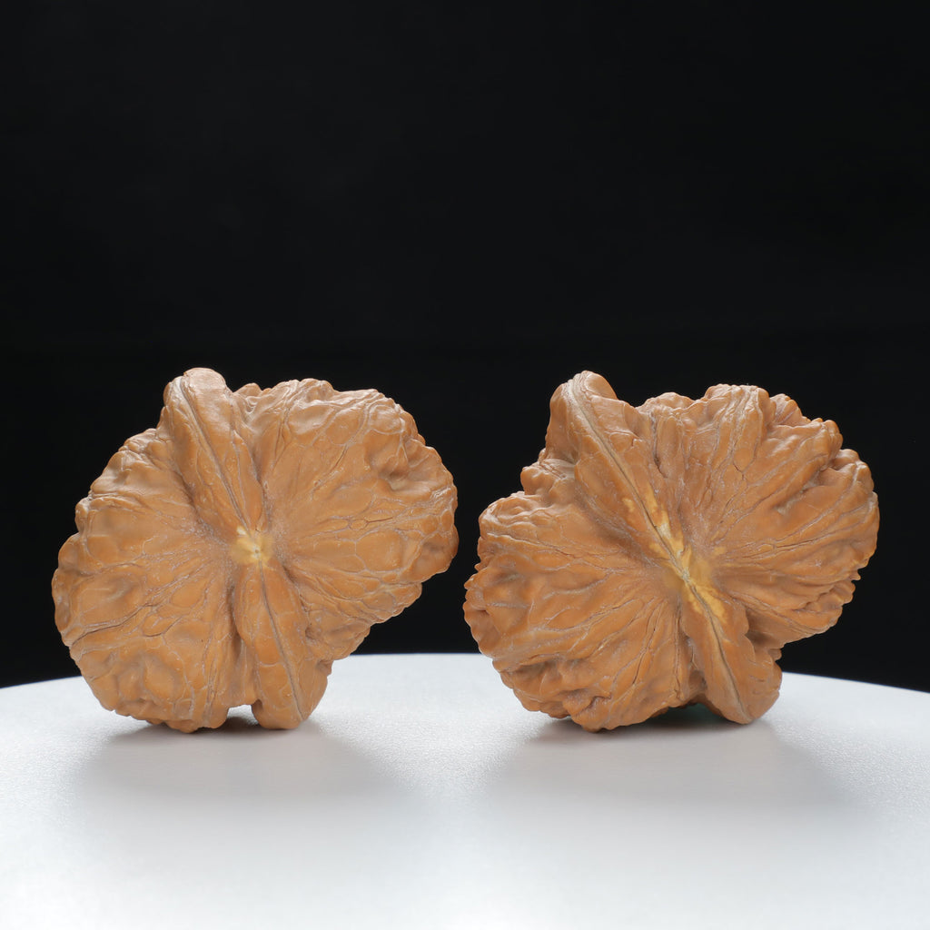 "Yuanbao" Authentic entry level Wenwan Walnuts Pair | Size:40L*44W*34H | UPI:UR-00130