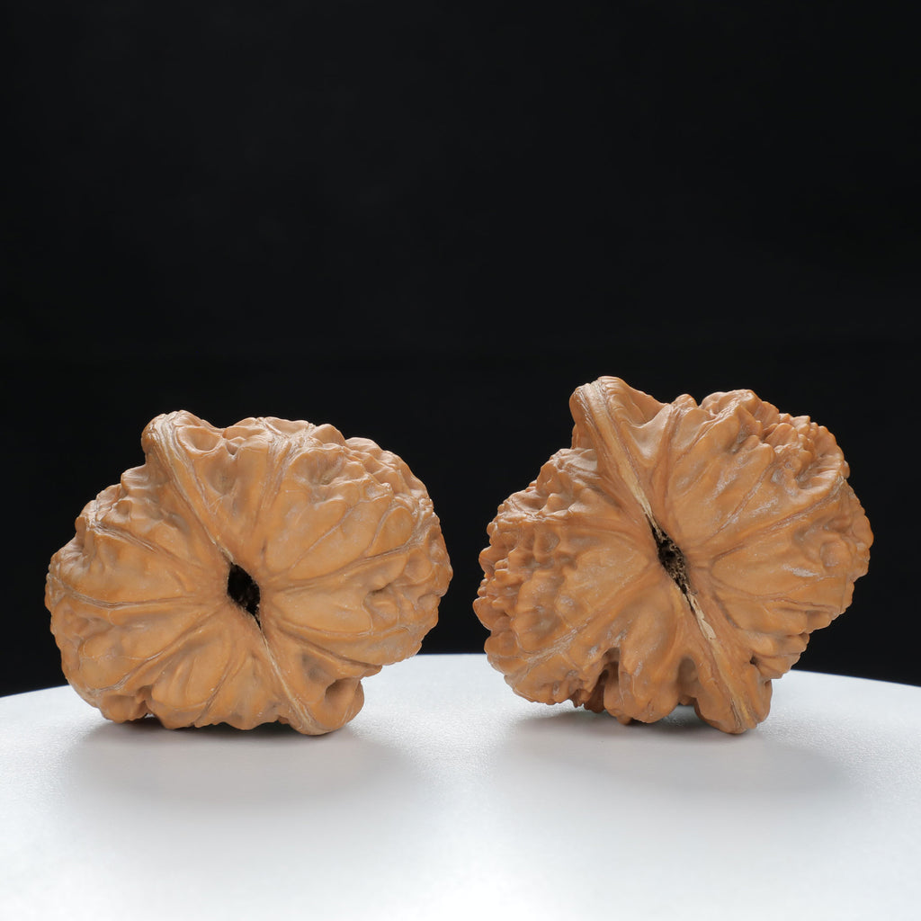 "Yuanbao" Authentic entry level Wenwan Walnuts Pair | Size:40L*44W*34H | UPI:UR-00130