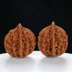 “Qilin Scale Pattern” Qilin Official's Cap Wenwan Walnuts Pair | Size:45L*44W*47H | UPI:UR-00131