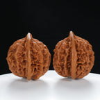 “Qilin Scale Pattern” Qilin Official's Cap Wenwan Walnuts Pair | Size:45L*44W*47H | UPI:UR-00131