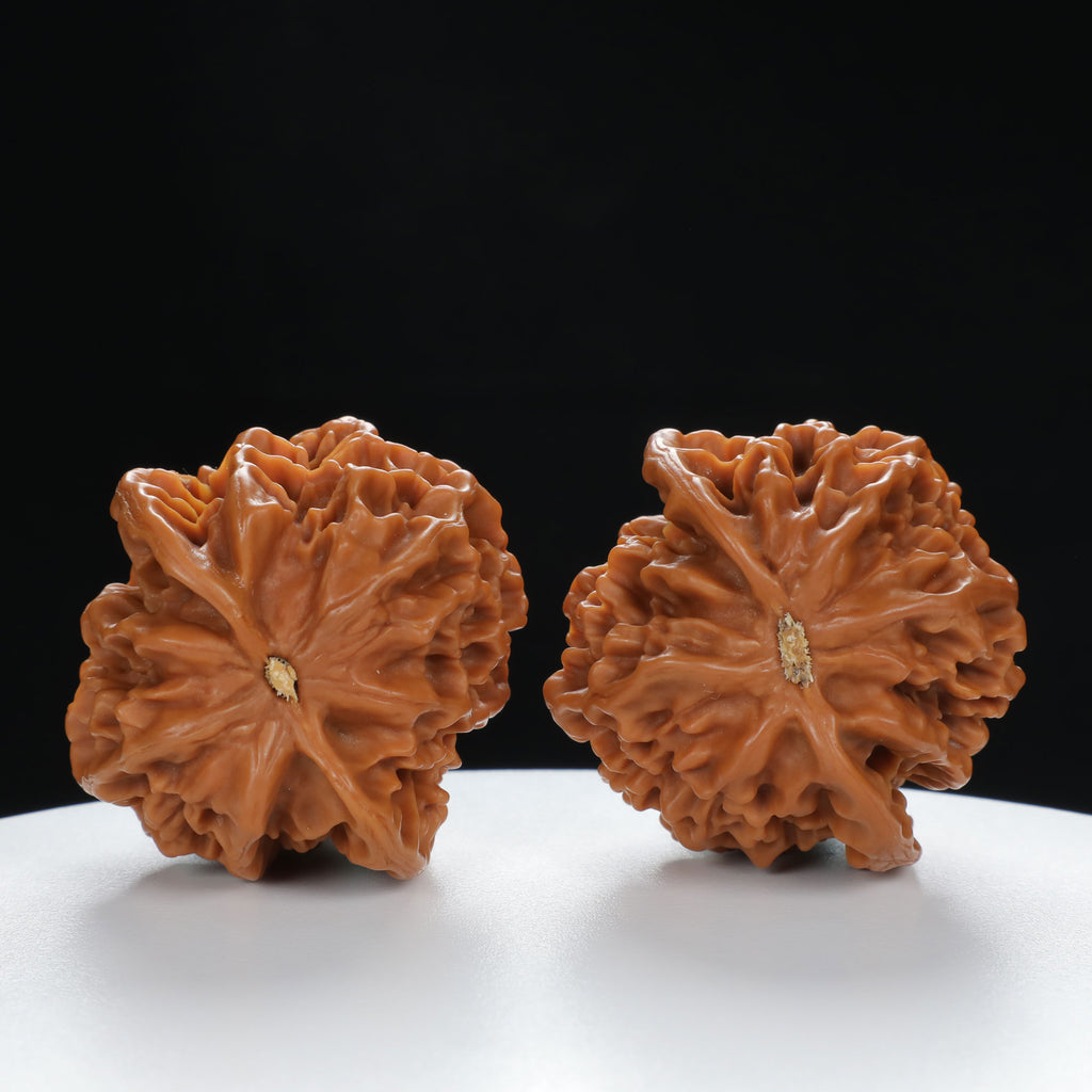 “Qilin Scale Pattern” Qilin Official's Cap Wenwan Walnuts Pair | Size:45L*44W*47H | UPI:UR-00131