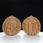 "Large Mandarin Hat" Elegant entry level Wenwan Walnuts Pair | Size:47L*43W*49H | UPI:UR-00133