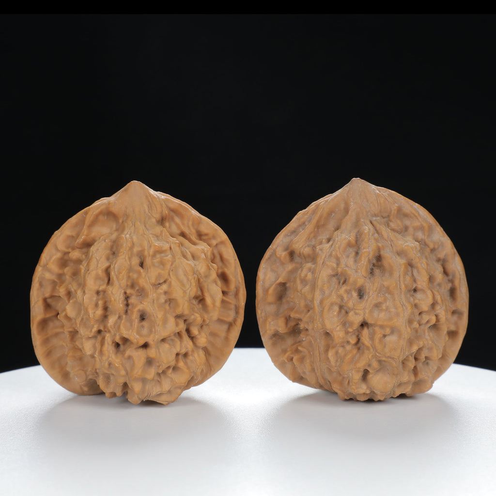 "Large Mandarin Hat" Elegant entry level Wenwan Walnuts Pair | Size:47L*43W*49H | UPI:UR-00133