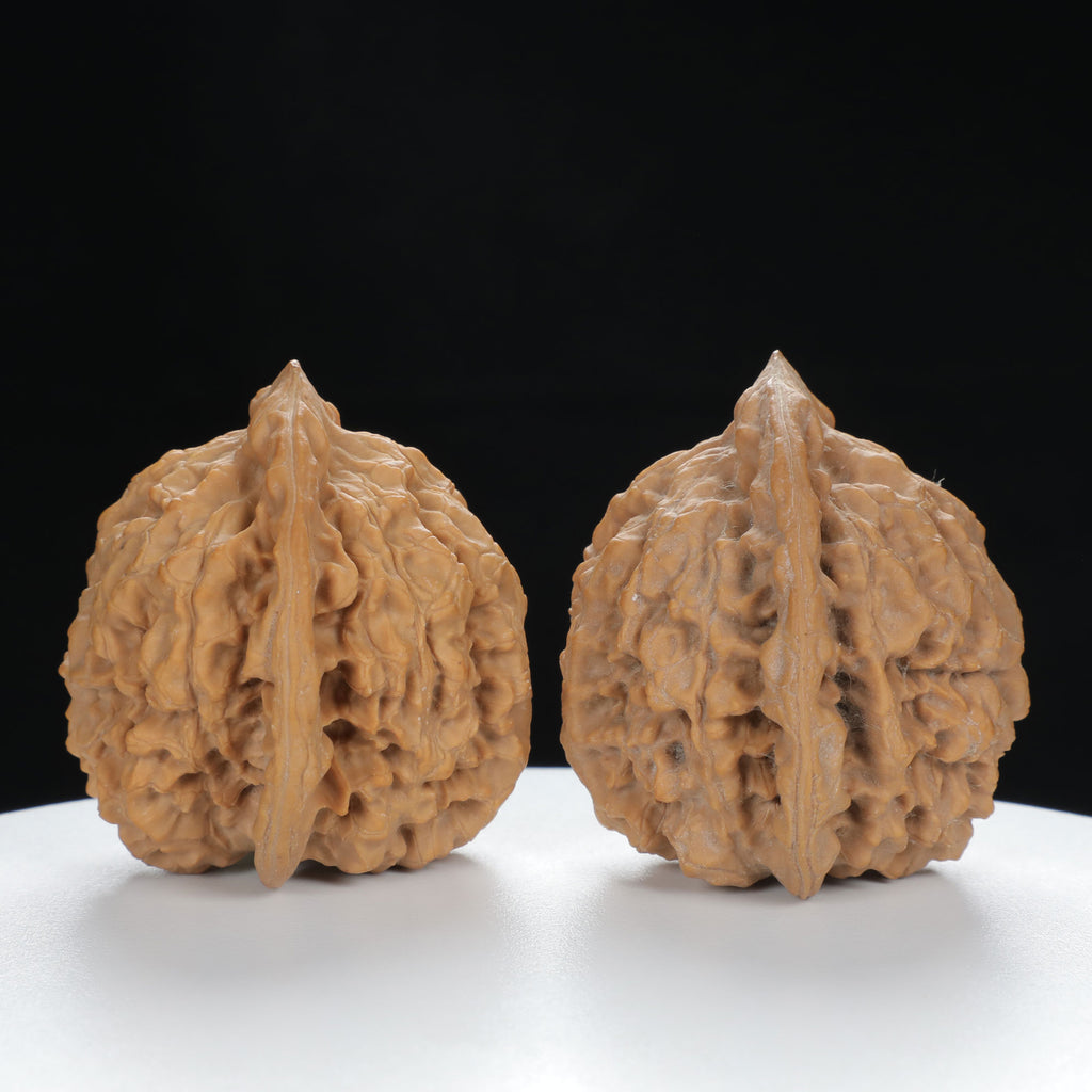 "Large Mandarin Hat" Elegant entry level Wenwan Walnuts Pair | Size:47L*43W*49H | UPI:UR-00133