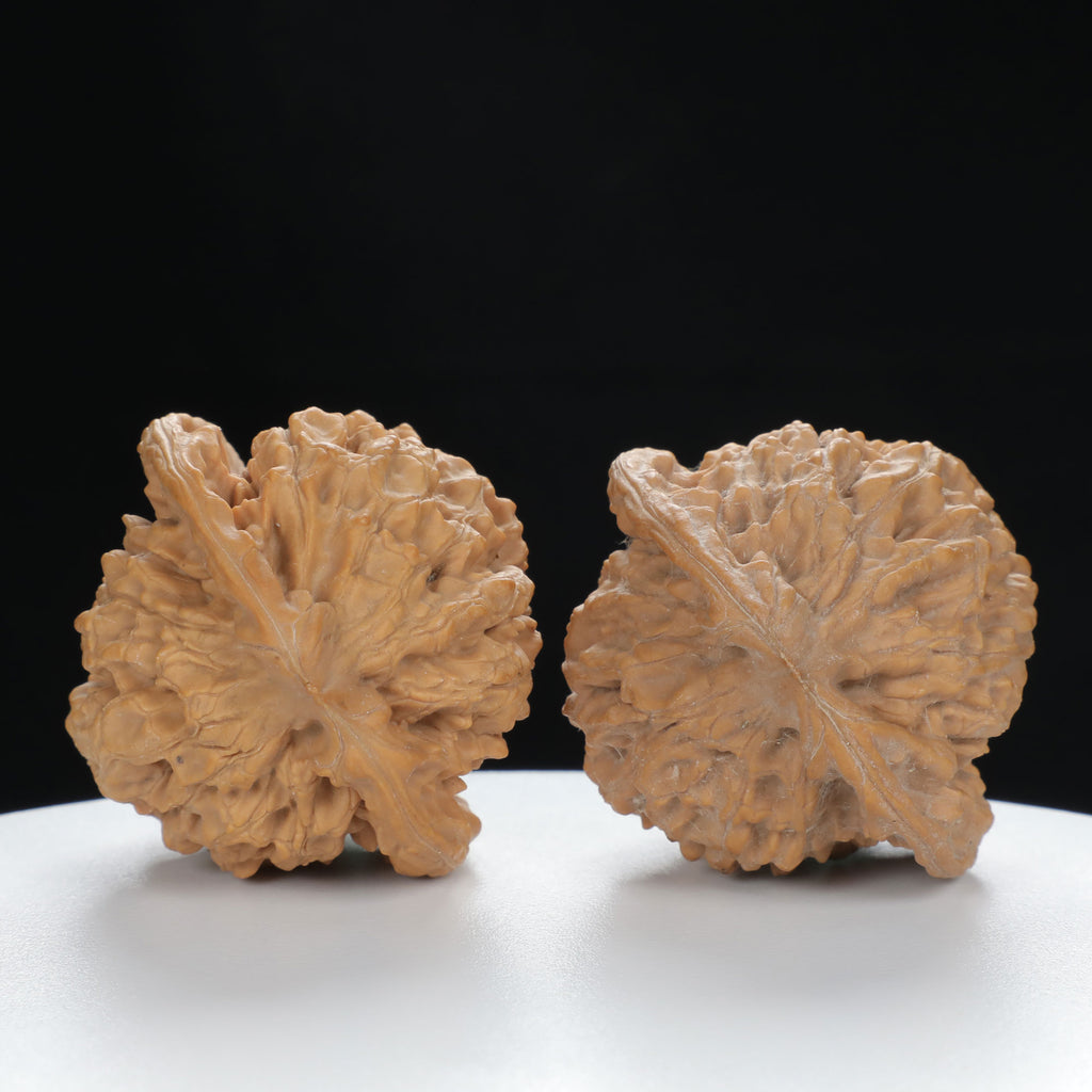 "Large Mandarin Hat" Elegant entry level Wenwan Walnuts Pair | Size:47L*43W*49H | UPI:UR-00133