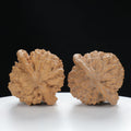 "Large Mandarin Hat" Elegant entry level Wenwan Walnuts Pair | Size:47L*43W*49H | UPI:UR-00133