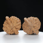 "Large Mandarin Hat" Elegant entry level Wenwan Walnuts Pair | Size:47L*43W*49H | UPI:UR-00133