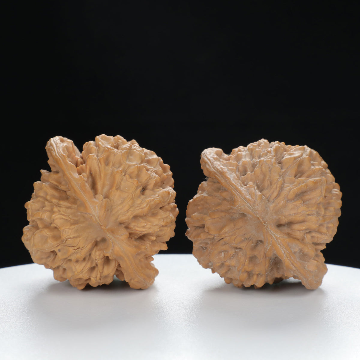 "Large Mandarin Hat" Elegant entry level Wenwan Walnuts Pair | Size:47L*43W*49H | UPI:UR-00133