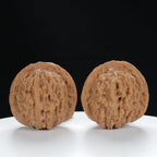 "Si Zuo Lou" Handpicked entry level Wenwan Walnuts Pair | Size:42L*40W*40H | UPI:UR-00134
