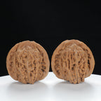 "Si Zuo Lou" Handpicked entry level Wenwan Walnuts Pair | Size:42L*40W*40H | UPI:UR-00134