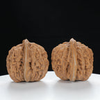 "Si Zuo Lou" Handpicked entry level Wenwan Walnuts Pair | Size:42L*40W*40H | UPI:UR-00134