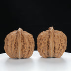 "Si Zuo Lou" Handpicked entry level Wenwan Walnuts Pair | Size:42L*40W*40H | UPI:UR-00134