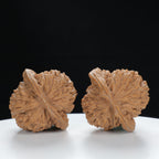 "Si Zuo Lou" Handpicked entry level Wenwan Walnuts Pair | Size:42L*40W*40H | UPI:UR-00134