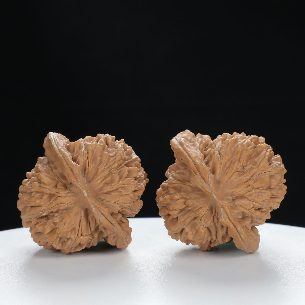 "Si Zuo Lou" Handpicked entry level Wenwan Walnuts Pair | Size:42L*40W*40H | UPI:UR-00134