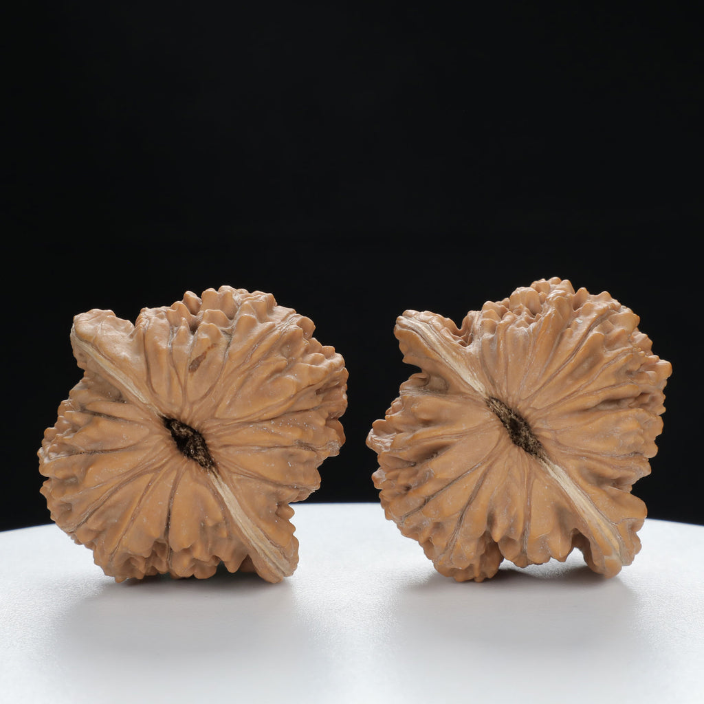 "Si Zuo Lou" Handpicked entry level Wenwan Walnuts Pair | Size:42L*40W*40H | UPI:UR-00134