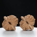 "Si Zuo Lou" Handpicked entry level Wenwan Walnuts Pair | Size:42L*40W*40H | UPI:UR-00134