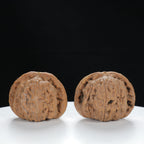 "Si Zuo Lou" Curated entry level Wenwan Walnuts Pair | Size:40L*39W*32H | UPI:UR-00135