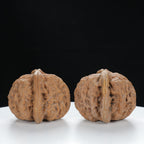 "Si Zuo Lou" Curated entry level Wenwan Walnuts Pair | Size:40L*39W*32H | UPI:UR-00135