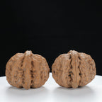 "Si Zuo Lou" Curated entry level Wenwan Walnuts Pair | Size:40L*39W*32H | UPI:UR-00135