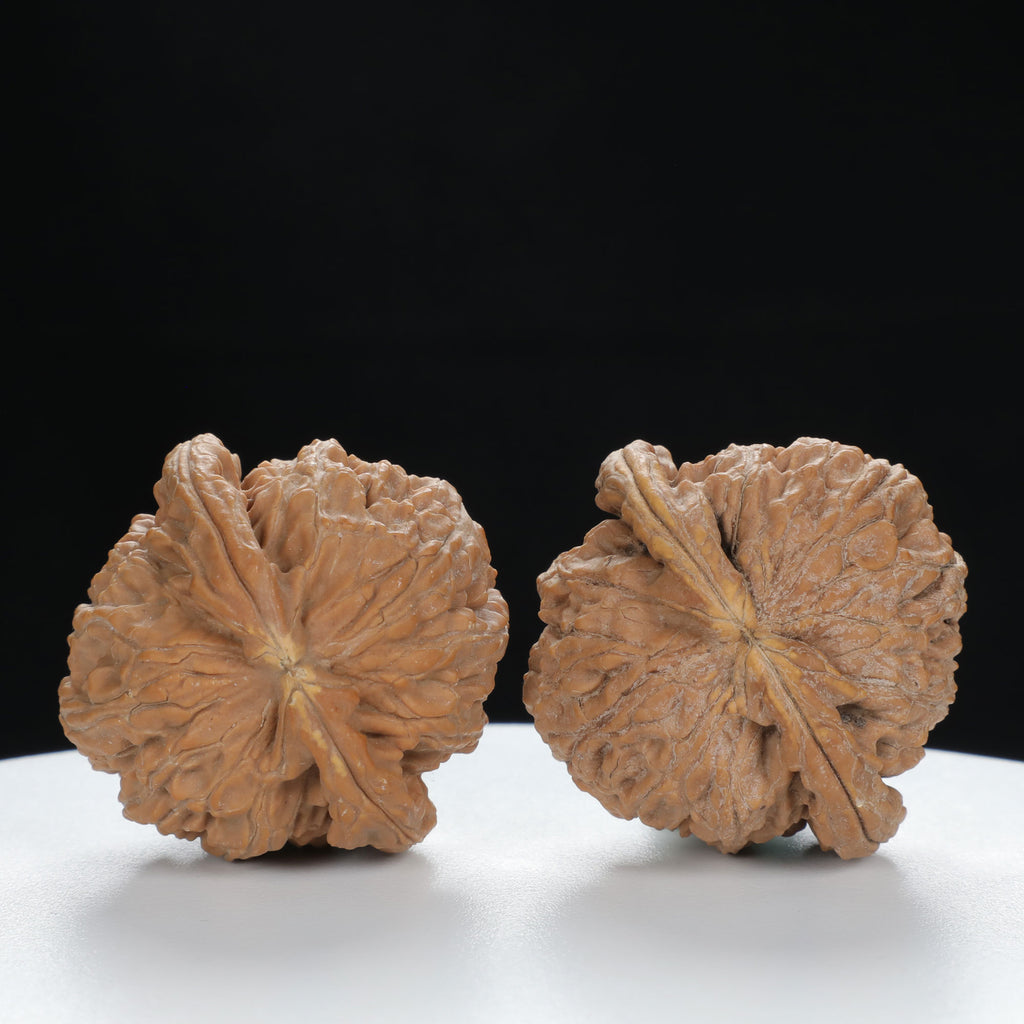 "Si Zuo Lou" Curated entry level Wenwan Walnuts Pair | Size:40L*39W*32H | UPI:UR-00135
