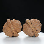 "Si Zuo Lou" Curated entry level Wenwan Walnuts Pair | Size:40L*39W*32H | UPI:UR-00135