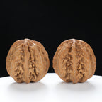 “Wild Qinling Thick-Ridge” nature.Eight-Ridge Lantern Qinling Qiuzi (Autumn Walnut) Wenwan Pair | Size:39L*38W*39H | UPI:UR-00139