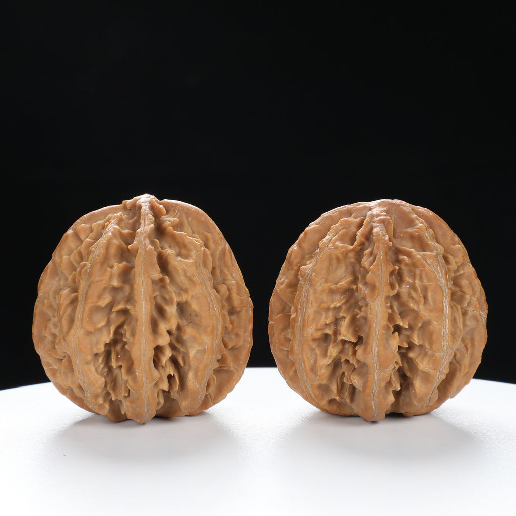“Wild Qinling Thick-Ridge” nature.Eight-Ridge Lantern Qinling Qiuzi (Autumn Walnut) Wenwan Pair | Size:39L*38W*39H | UPI:UR-00139