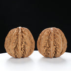 “Wild Qinling Thick-Ridge” nature.Eight-Ridge Lantern Qinling Qiuzi (Autumn Walnut) Wenwan Pair | Size:39L*38W*39H | UPI:UR-00139
