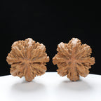 “Wild Qinling Thick-Ridge” nature.Eight-Ridge Lantern Qinling Qiuzi (Autumn Walnut) Wenwan Pair | Size:39L*38W*39H | UPI:UR-00139