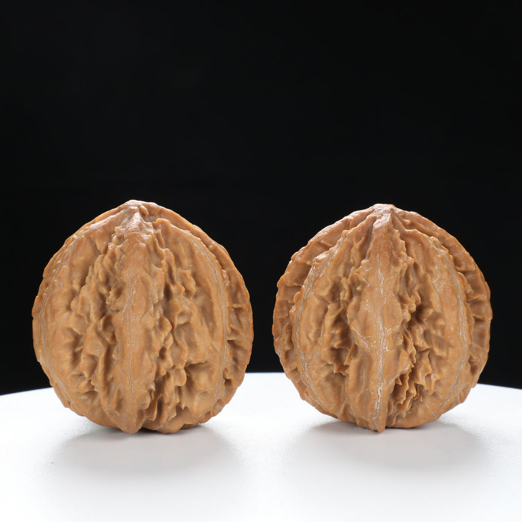 “Wild Qinling Thick-Ridge” nature.Eight-Ridge Lantern Qinling Qiuzi (Autumn Walnut) Wenwan Pair | Size:39L*38W*39H | UPI:UR-00139